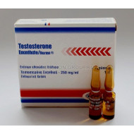 10 Amp's Testosterone Enanthate (Norma Greece) 