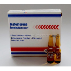 50 Amp's Testosterone Enanthate (Norma Greece)