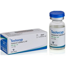 Testocyp 250Mg (Testosterone CYP) USA
