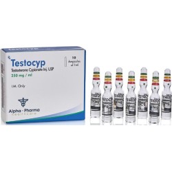 Testocyp 250Mg (Testosterone CYP Amp)