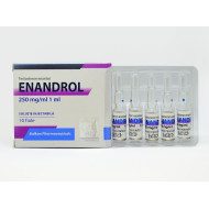 Testosterona E 250mg - 10 Ampoules