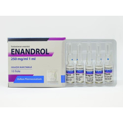 Testosterona E 250mg - 10 Ampoules