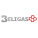 Beligas Pharmaceuticals
