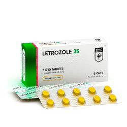 Letrozole 25Mg