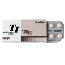 T4 100mcg - Levothyroxine -