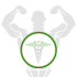 Lean Mass Cycle II