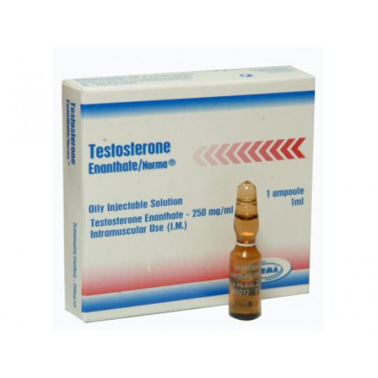 Testosterone Enanthate (Norma Greece)