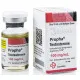 Propha-Testosterone 100mg