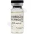 Nandrolone Decanoate 250mg