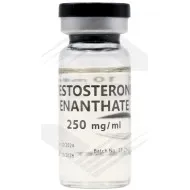 Testosterone Enanthate 250Mg USA