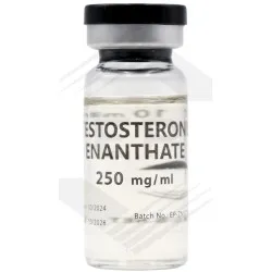 Testosterone Enanthate 250Mg
