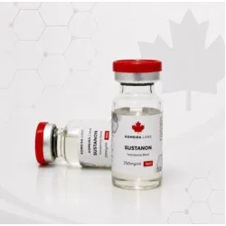 Sustanon 250Mg USA