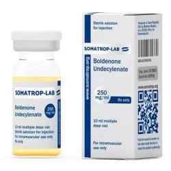 Boldenone Undecylenate 250Mg